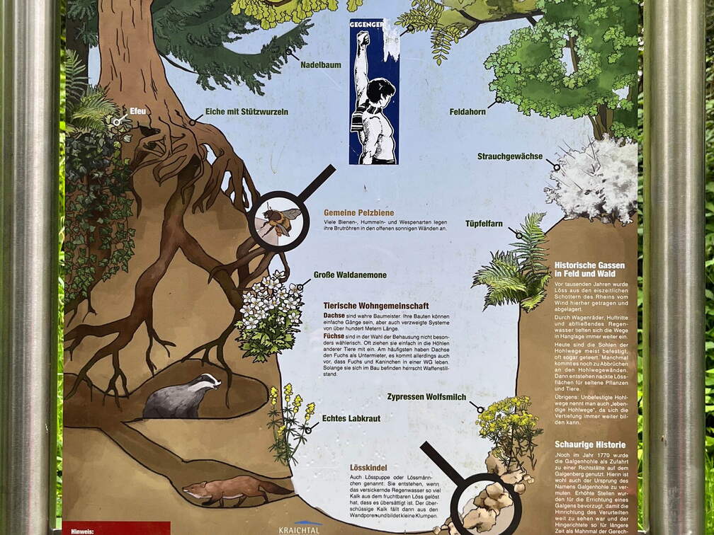 22-06-06 14-12-14 1070